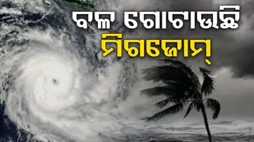 Cyclone Michaung