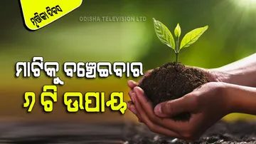What is world soil day how to save soil