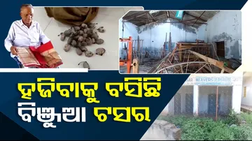 Mayurbhanj's Binjhua tassar silk loses market, weavers force to change occupation