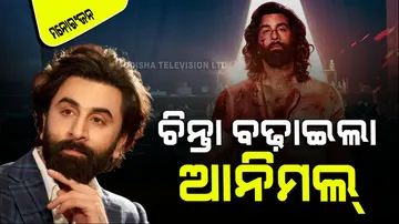 Animal become big problem for ranbir kapoor