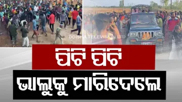 Bear Beaten To Death By Villagers