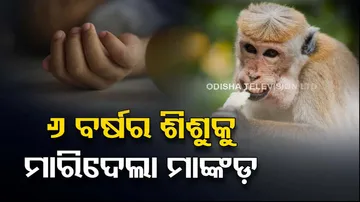 Chased by monkeys, 6 year old falls to death; 2nd death in 3 days