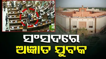 Unknown Person in Parliament