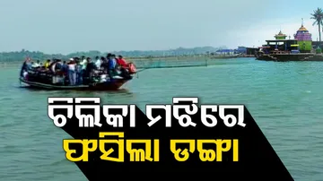 Chilika: 60 people stranded after boat stuck in mid-sea
