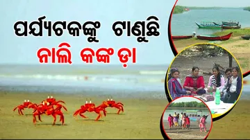 People express happiness after enjoying their time in Eco retreat in Konark