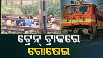 cooking food on train tracks