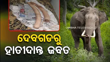Forest dept officials seize two elephant tusks from Deogarh