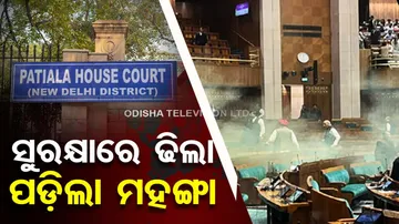 Parliament security breach