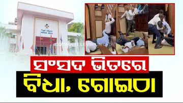 Maldives Parliament Viral Video