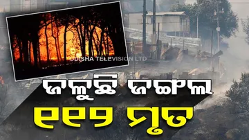 forest fires in Chile