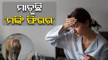 Monkey fever kills two in Karnataka