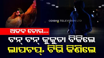 Thieves Steal 133 Tons Of Chicken