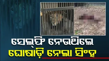 Tirupati Zoo Lion Attack