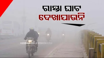 Twincity Fog