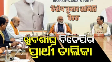 PM Modi Chairs Key BJP Meeting