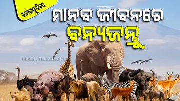 Why is world wildlife day is celebrated on 3rd march