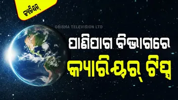 World meteorological day 2024 know career option in field of meteorology