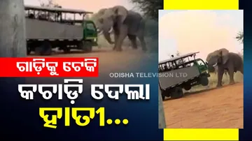 Elephant pushes safari vehicle