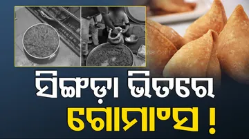 beef samosas gujurat