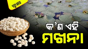 Benefits of Makhana for Blood Pressure