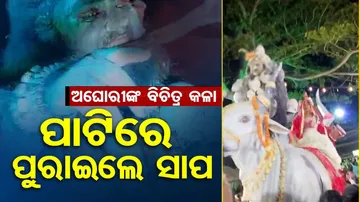 Wildlife Protection Act Violation