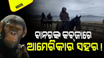 Viral video monkey captures two cities of america