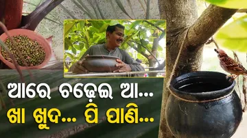 observe a day for birds