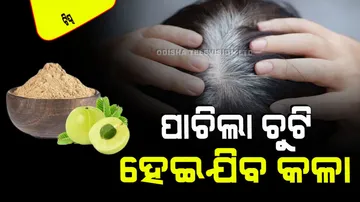 Use amla to darken white hair at home
