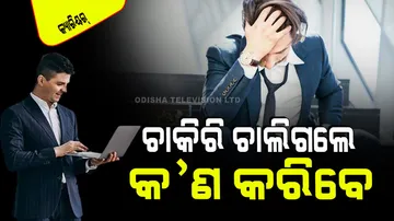 What To Do When You Lose Your Job