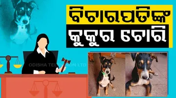 Civil Judge's pet dog stolen 