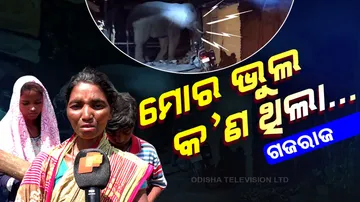 Elephant destroys house