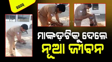 police constable saves life of a monkey who fell unconscious due to heatstroke