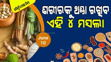 National herbs and spices day 2024: Natural cooling: herbs that keep you cool this summer