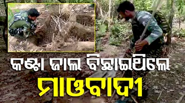 Spike Holes Found In Pusuguppa Forest In Telangana