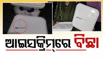 Centipede found inside icecream