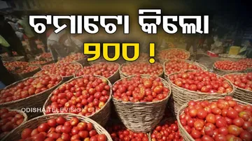 Tomato Rate