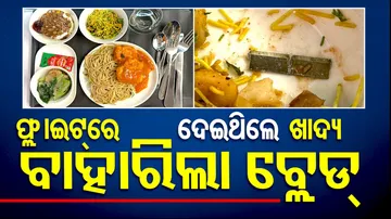Passenger Find Blade In Meal In Flight
