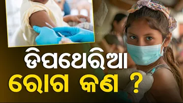 What Is Diphtheria disease 