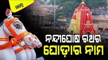 Ratha Jatra 2024 Name of the horses in Nandighosh Rath