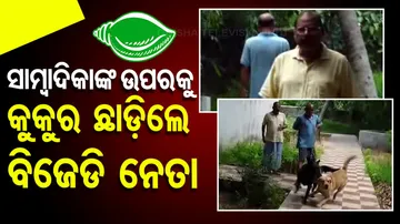 BJD Leader Releases Dogs on Lady Journalist