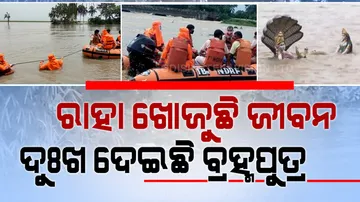 Assam Brahmaputra Floods News