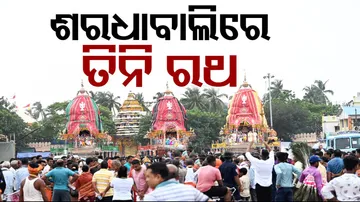 All Three Chariots At Maa Gundicha Temple