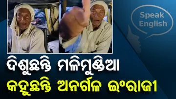 Viral Video: Amravati Auto Driver Speaks Fluent Englis