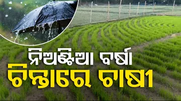 Weather Update: Rain To Lash Odisha for 5 Days