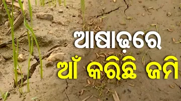 Drought situation in Bolangir