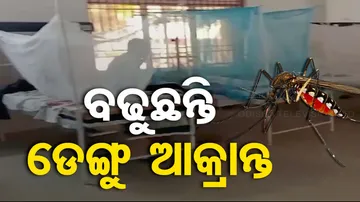 Dengue Outbreak in Odisha