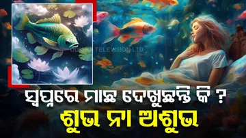 What Does It Mean If You Dream About Fish