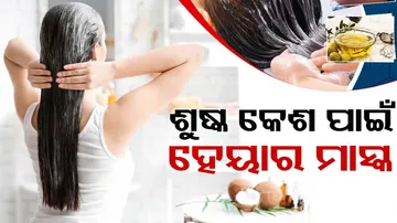 home made hair mask for dry hair