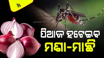 Onion will drive away mosquitoes cockroaches and lizards from the house