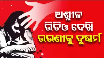  boy rapes sister after watching porn